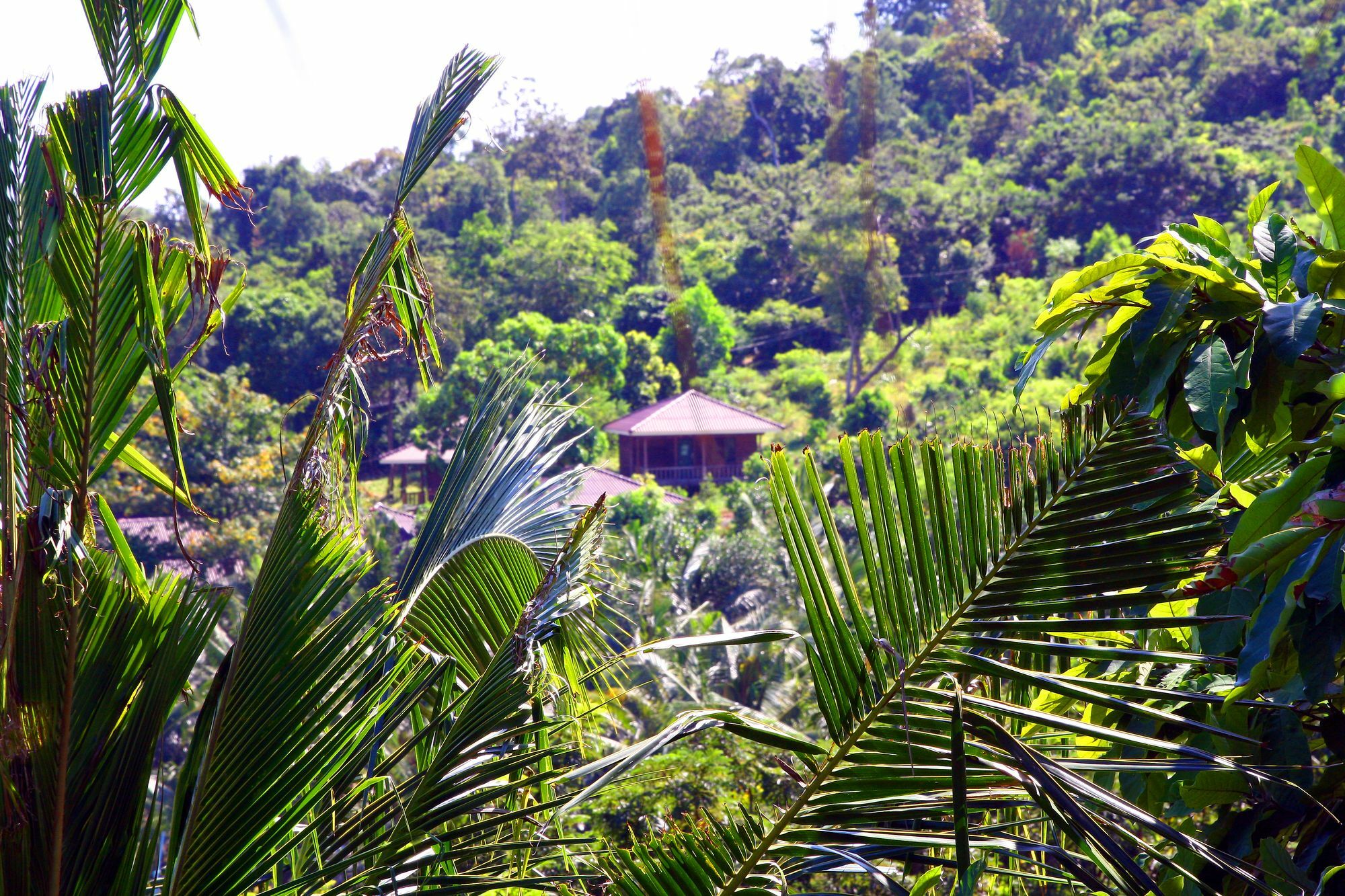 Coco Boutique Resort Kaoh Touch Eksteriør billede